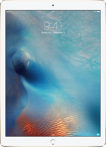 iPad Unreleased